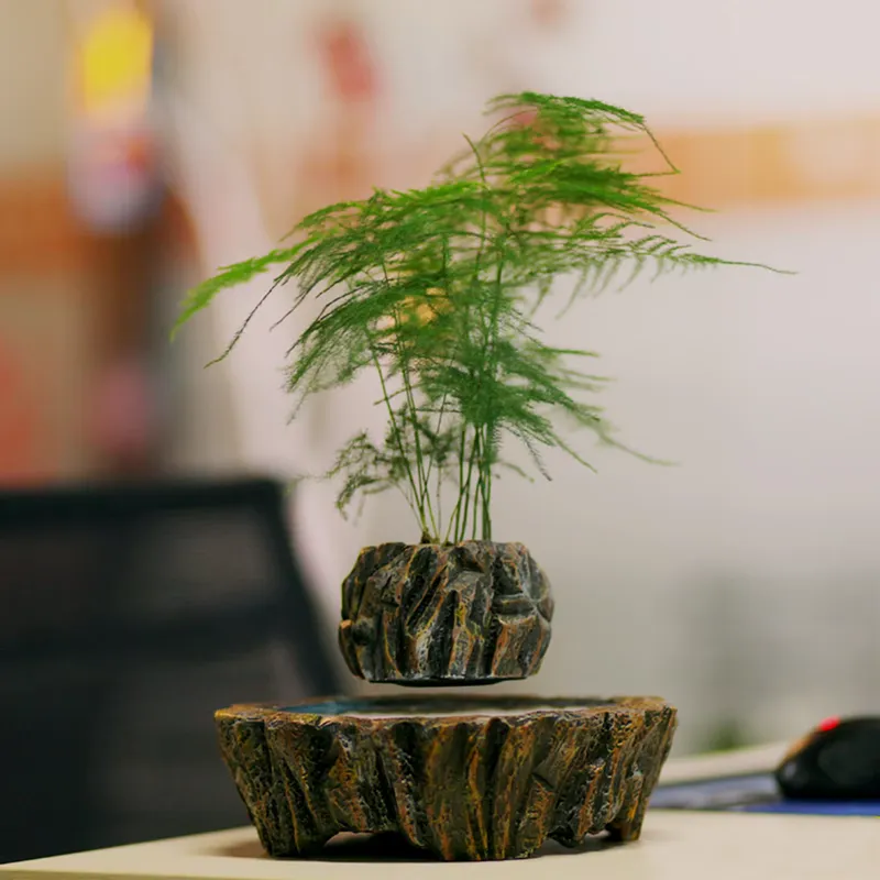 Bonsai Vertical Garden - Pour HCNT – Pot de fleurs