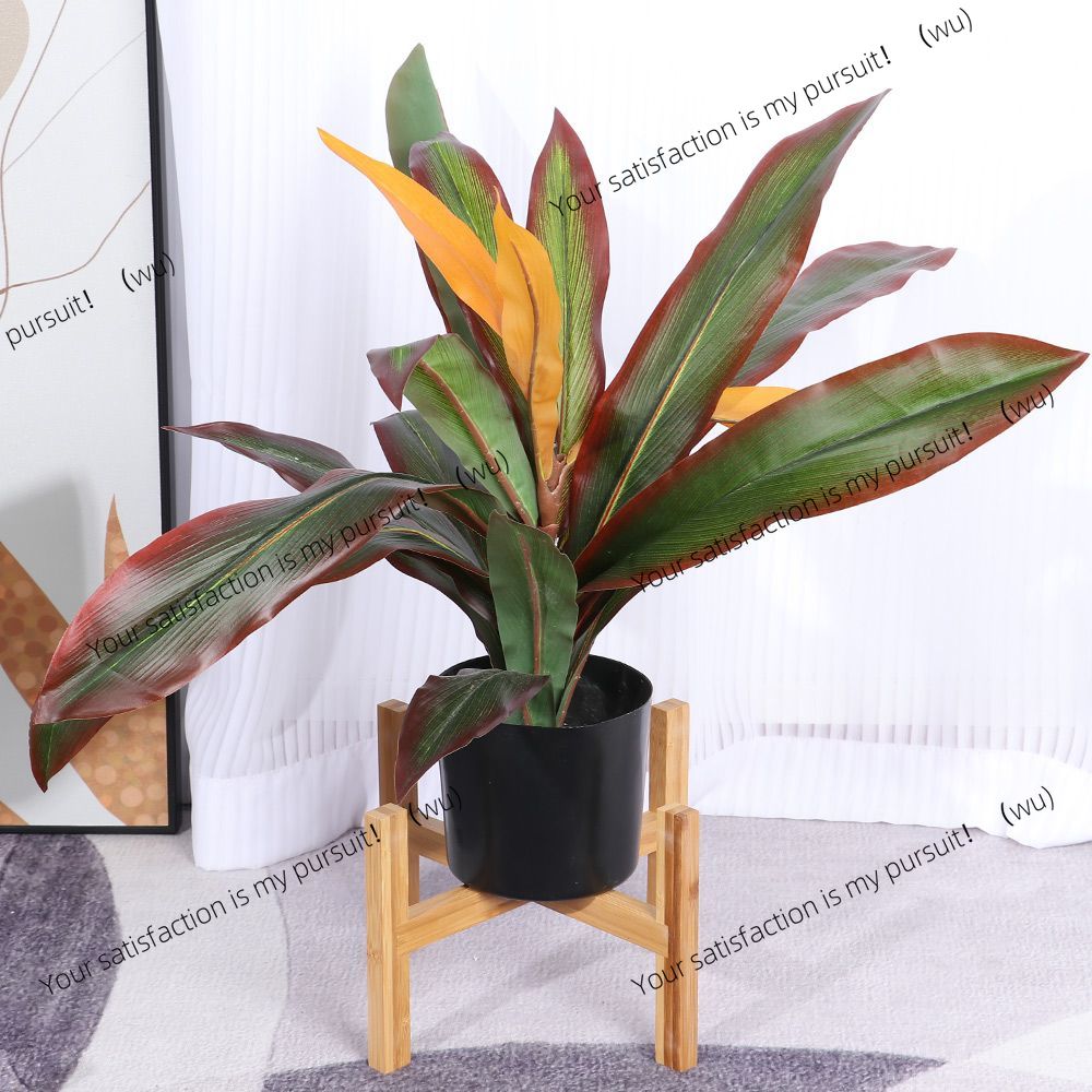 Bonsai Vertical Garden - Présentoir vertical en bois pour bonsaï,