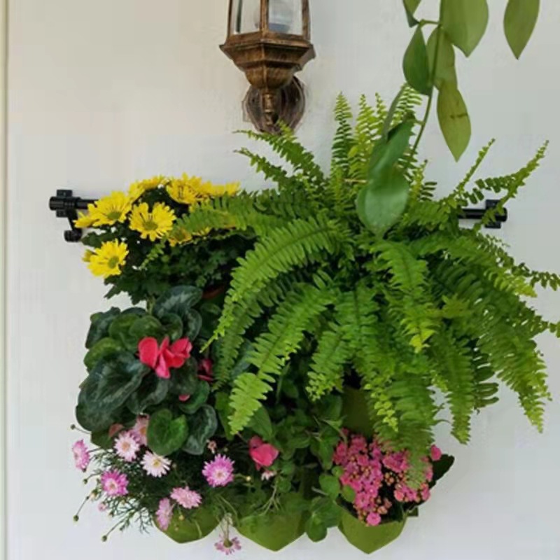 Sac de plantation mural suspen - Bonsai Vertical Garden avis et prix
