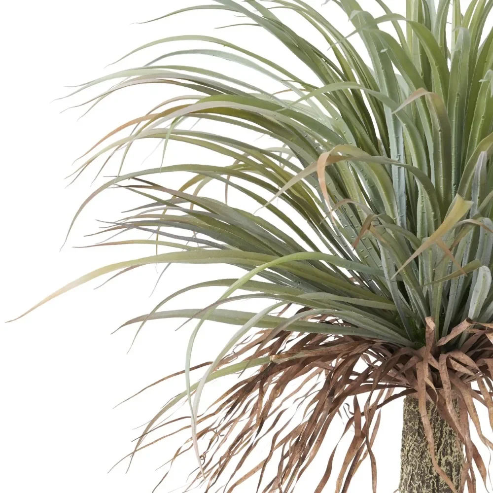 #   Plantes de table en plasti - Bonsai Garden Festival avis et prix