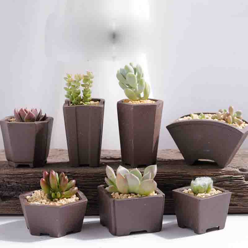 Yixing violet sable Pot de fle - Bonsai Tree Zen Garden avis et prix