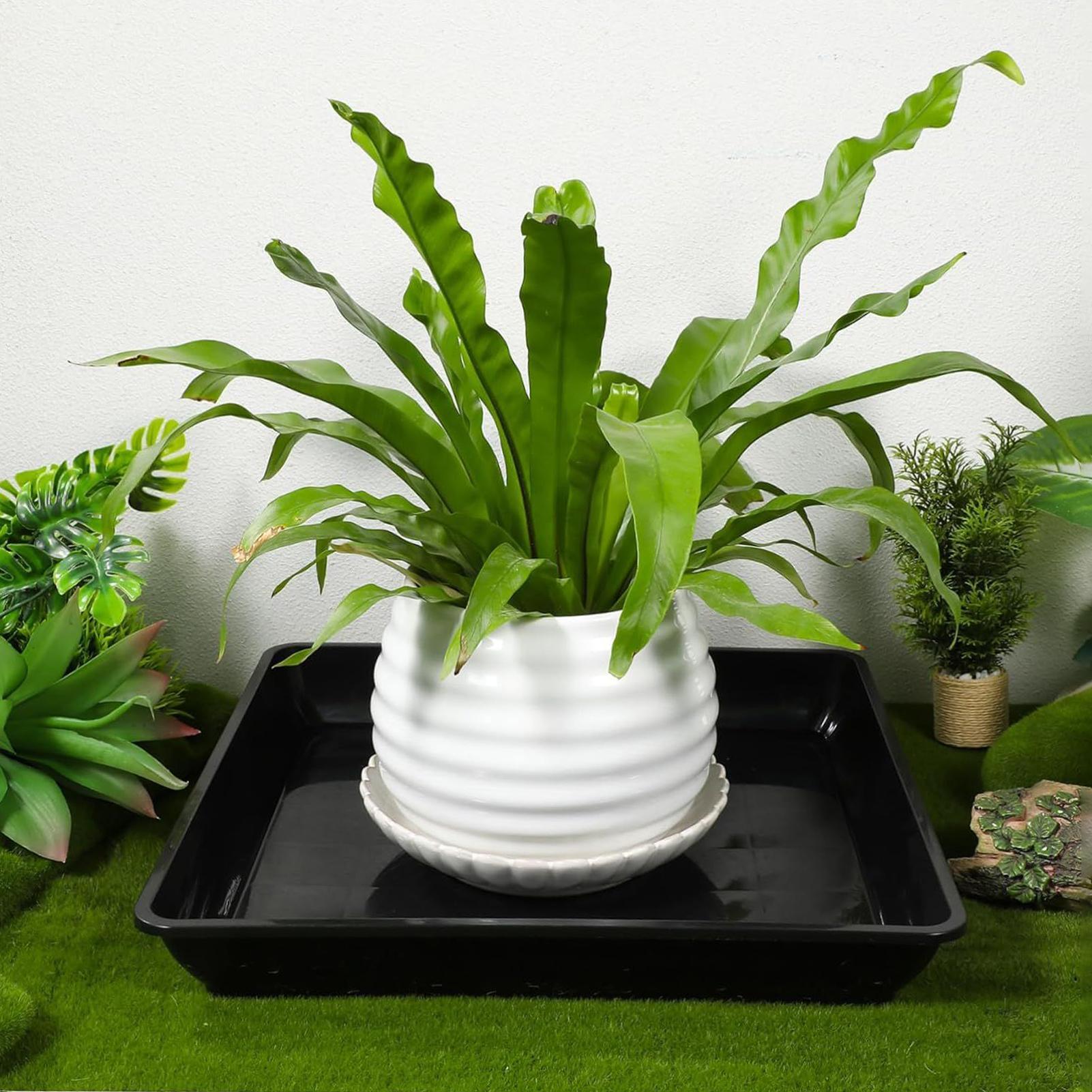 Plateaux de drainage carrés po - Drip Tray Saucer avis et prix