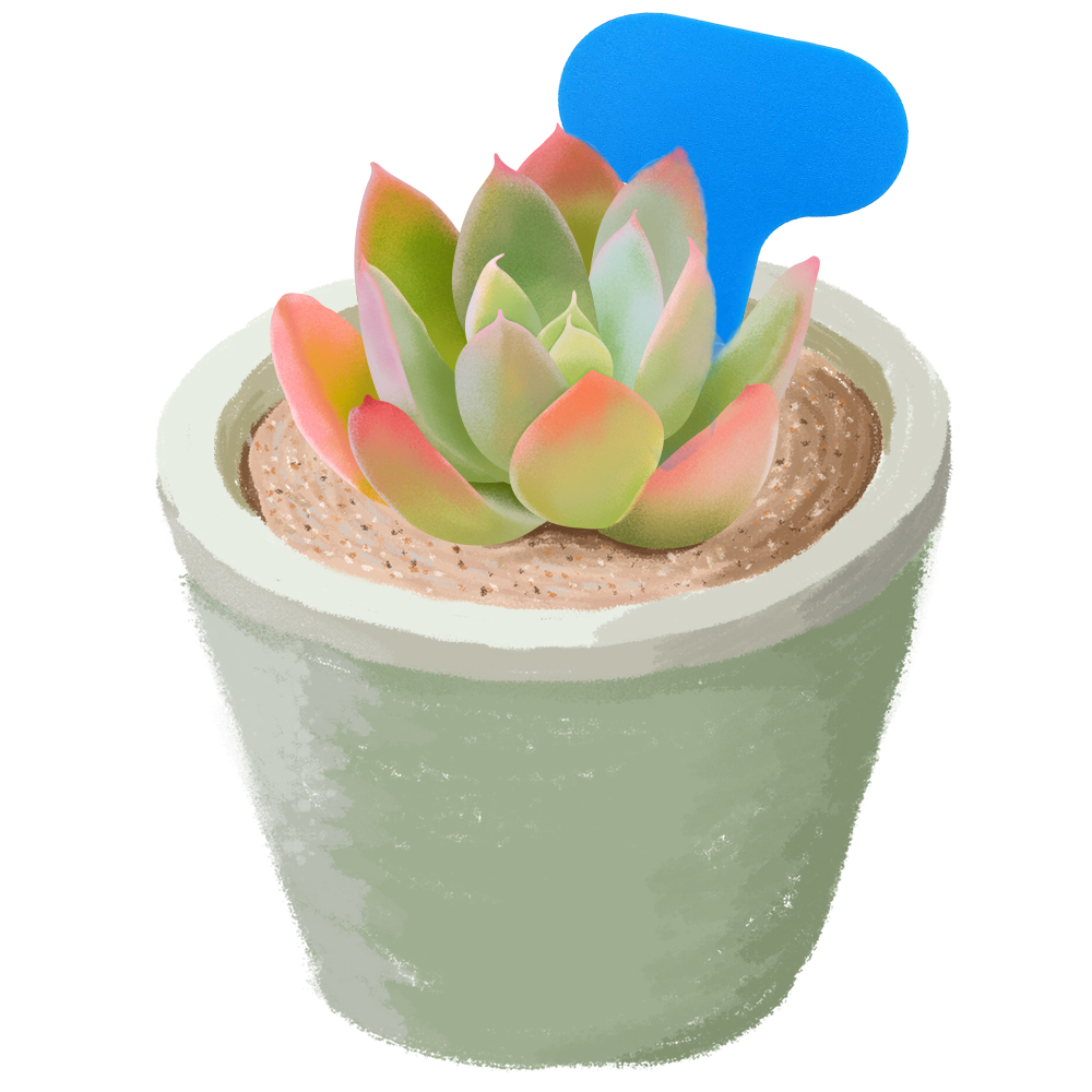Étiquettes pour plantes de jar - Bonsai Garden Ticket avis et prix