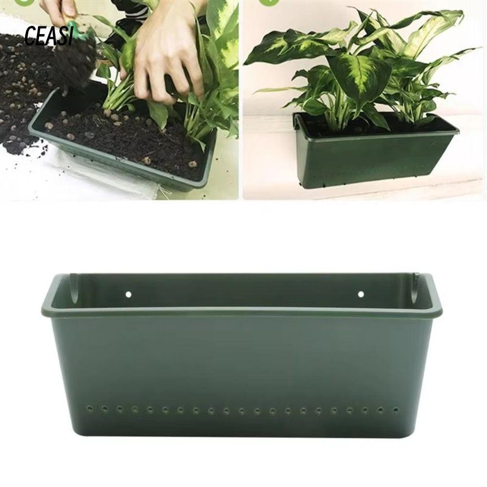 1/3 PCS Boîte de plantation, p - Bonsai Vertical Garden avis et prix