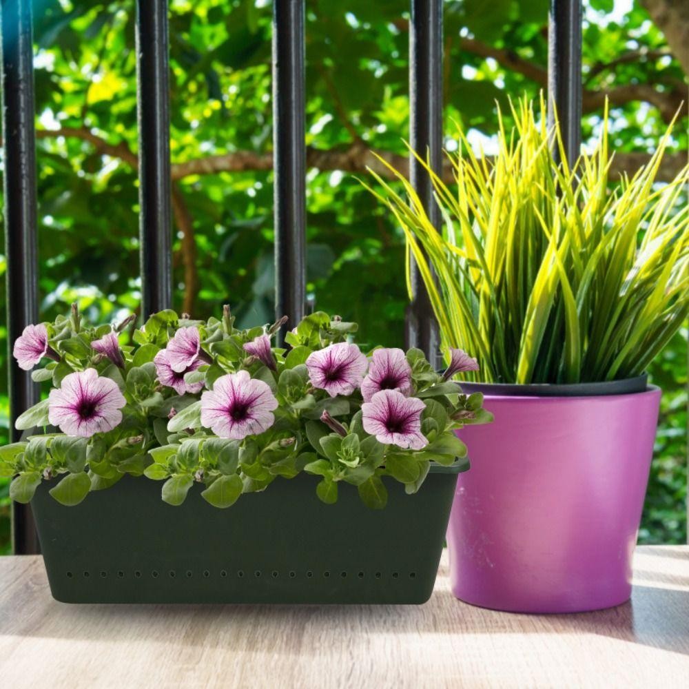 1/3 PCS Boîte de plantation, p - Bonsai Vertical Garden avis et prix