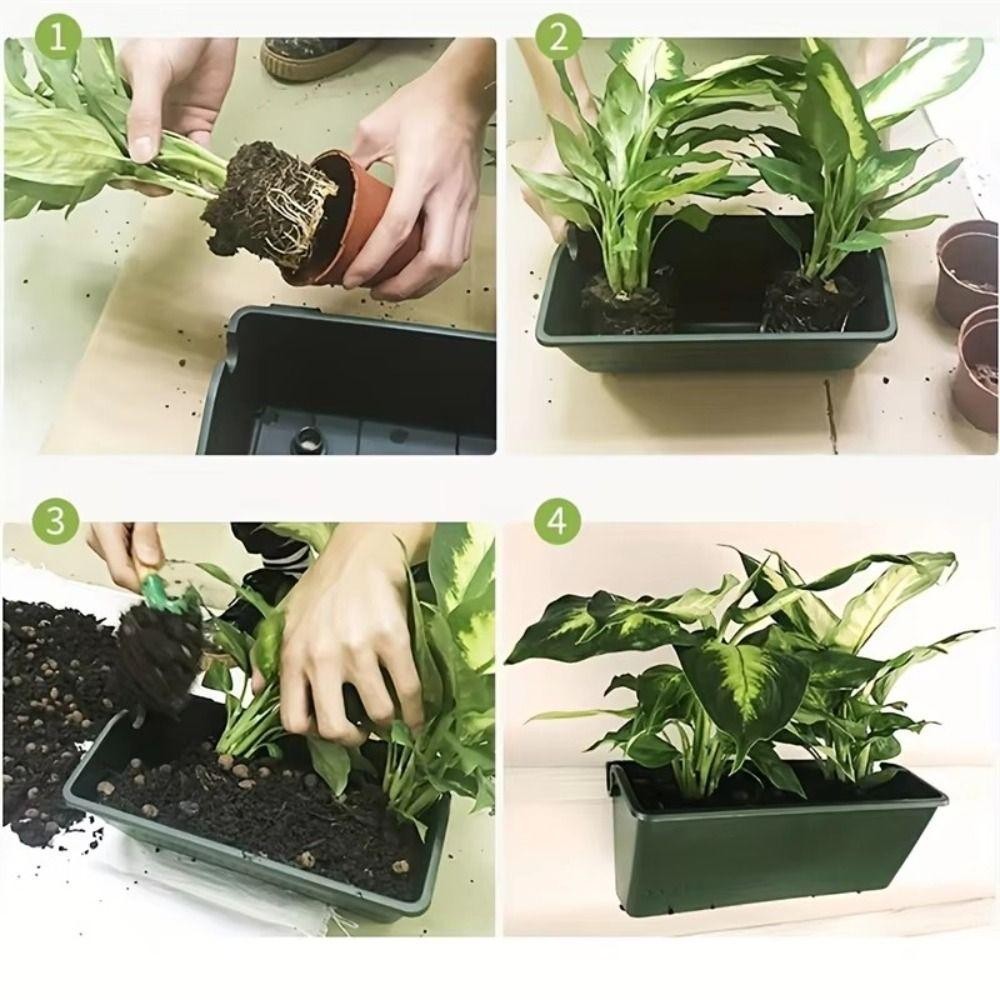 1/3 PCS Boîte de plantation, p - Bonsai Vertical Garden avis et prix