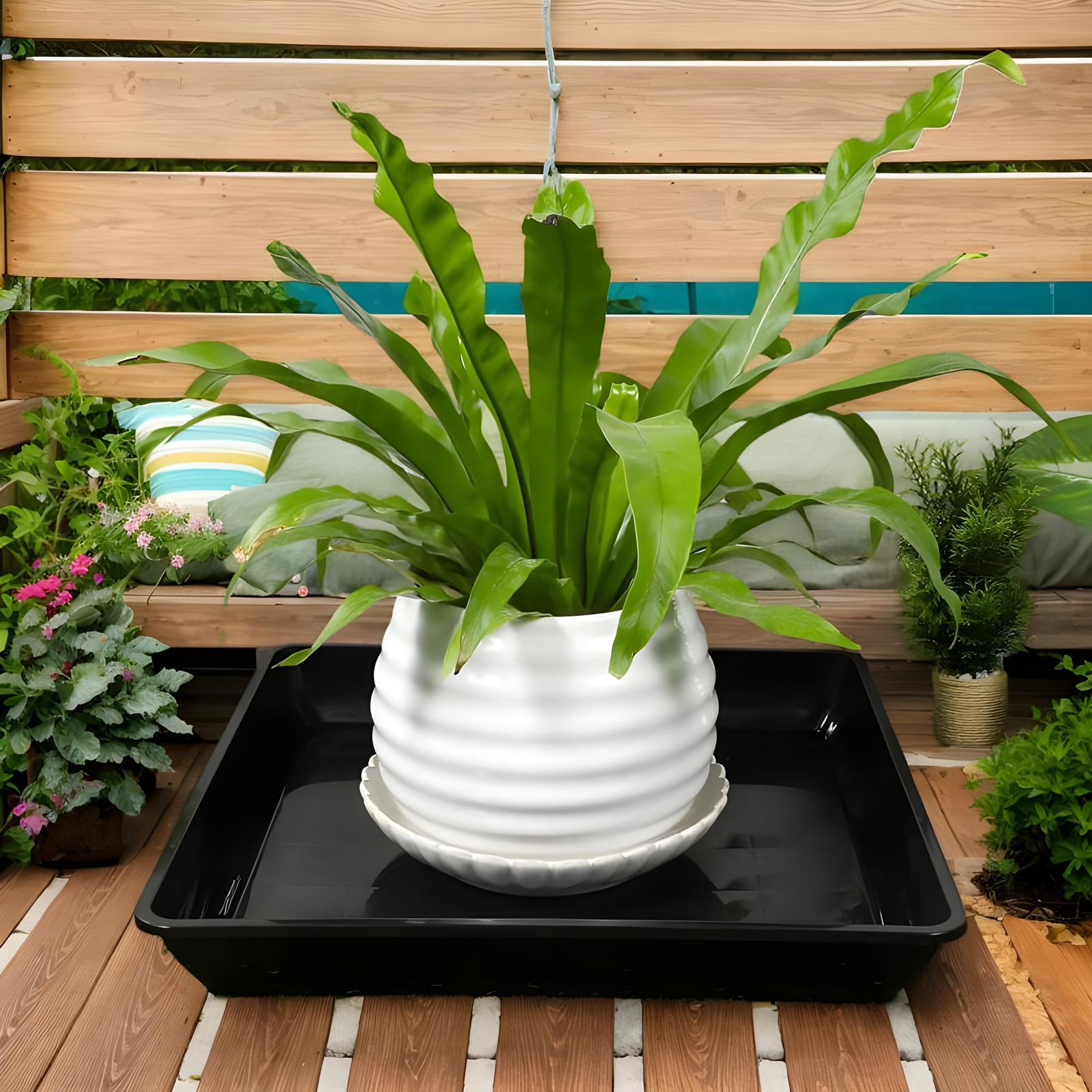 Plateaux pour pots de plantes, - Drip Tray Saucer avis et prix