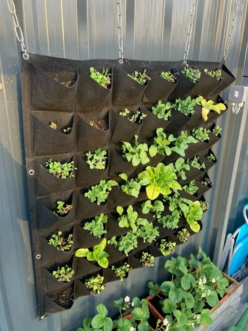 Sac de plantation mural multi- - Bonsai Vertical Garden avis et prix
