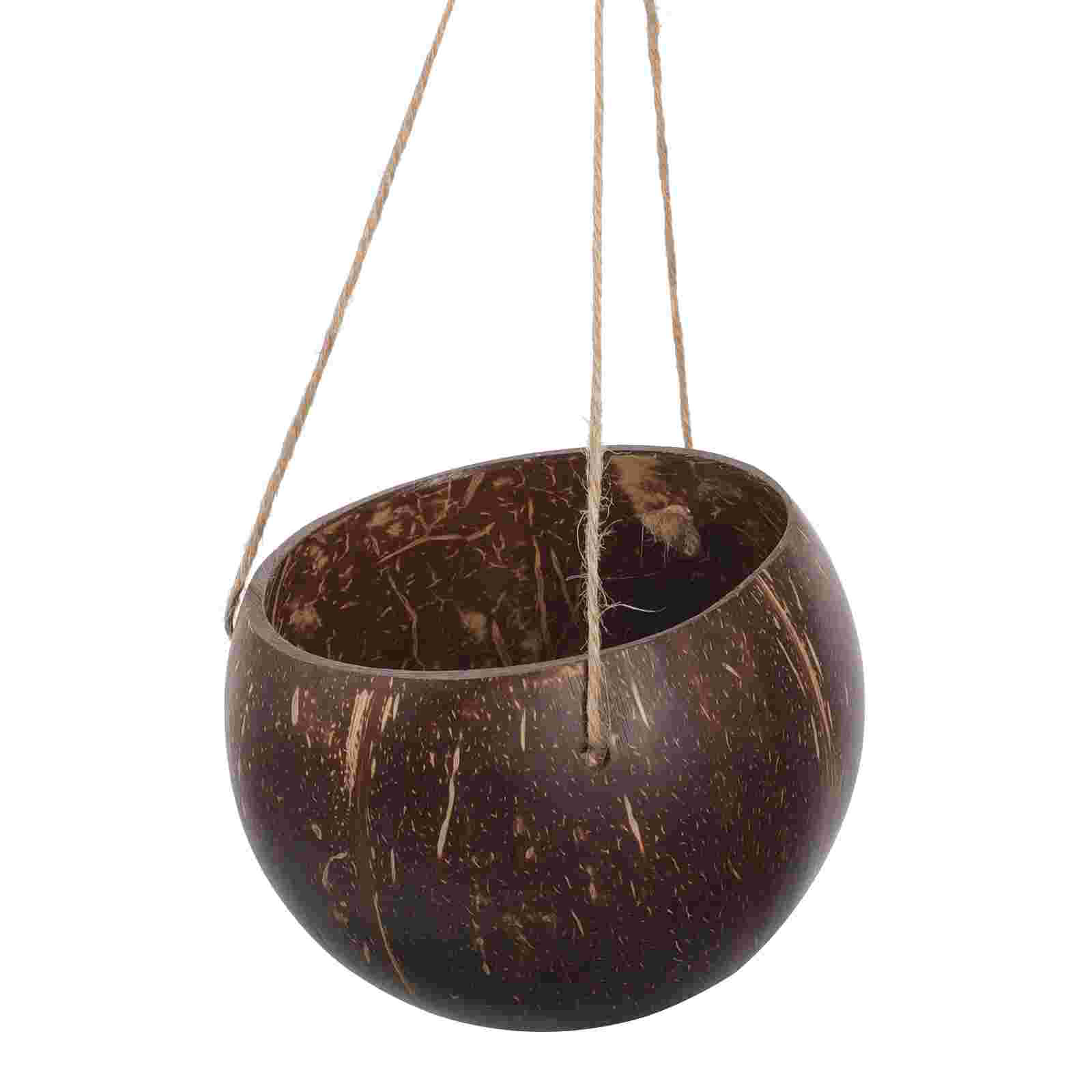 Pots de fleurs en coquille d'a - Bonsai Tree Zen Garden avis et prix
