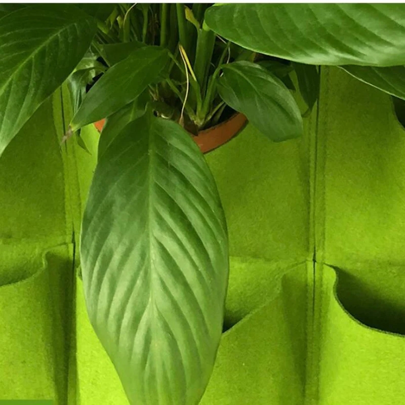 Sac de plantation mural suspen - Bonsai Vertical Garden avis et prix