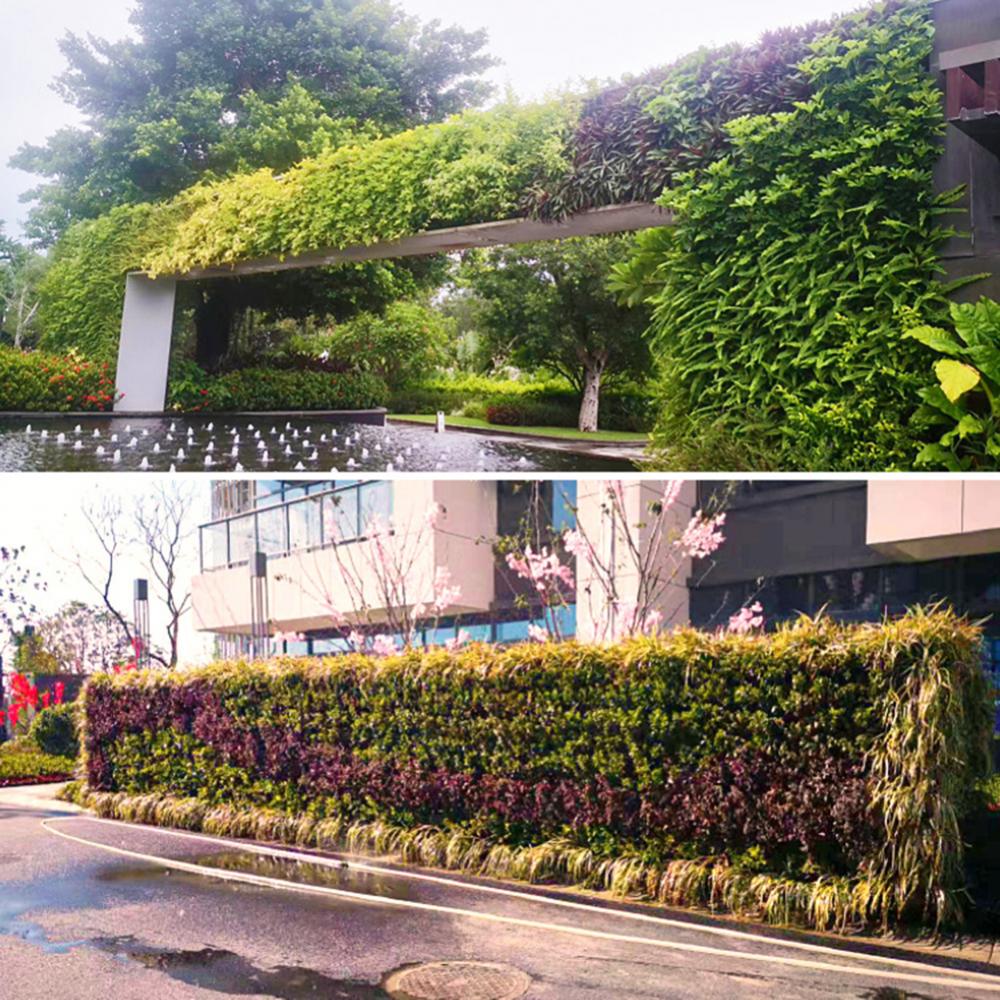 Boîte murale forestière multi- - Bonsai Vertical Garden avis et prix